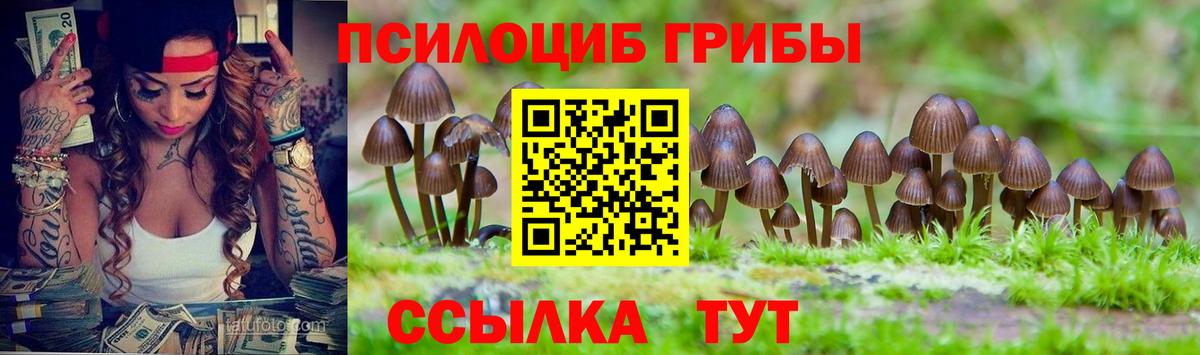 Кизляр  Галлюциногенные грибы Psilocybine cubensis  Псилоцибиновые грибы мицелий  Вход с VPN 